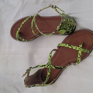 Neon 💚 snake print gladiator sandals Mix. no 6